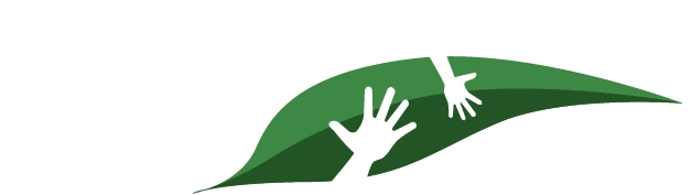 DMCI Communities Banner Leaf Icon