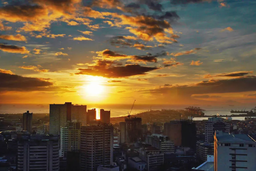 banner-image