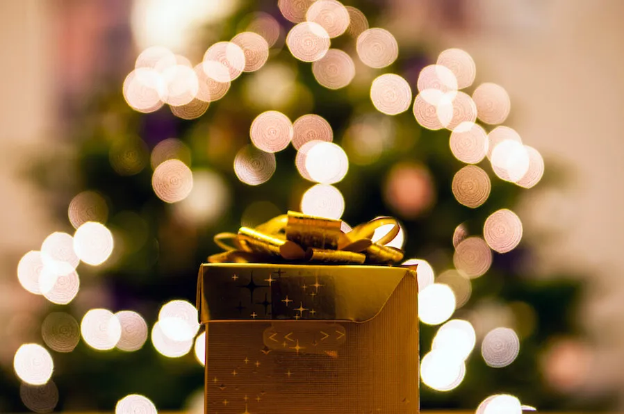 banner-image
