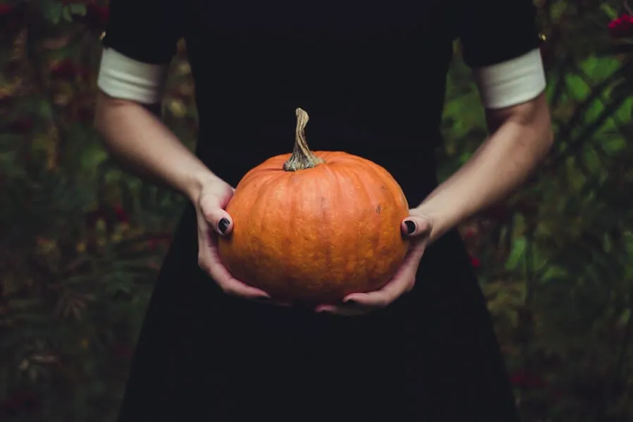 banner-image