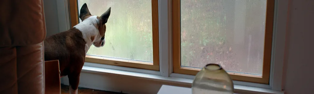 10 Ways to Make Your Condo Safe for the Rainy Days