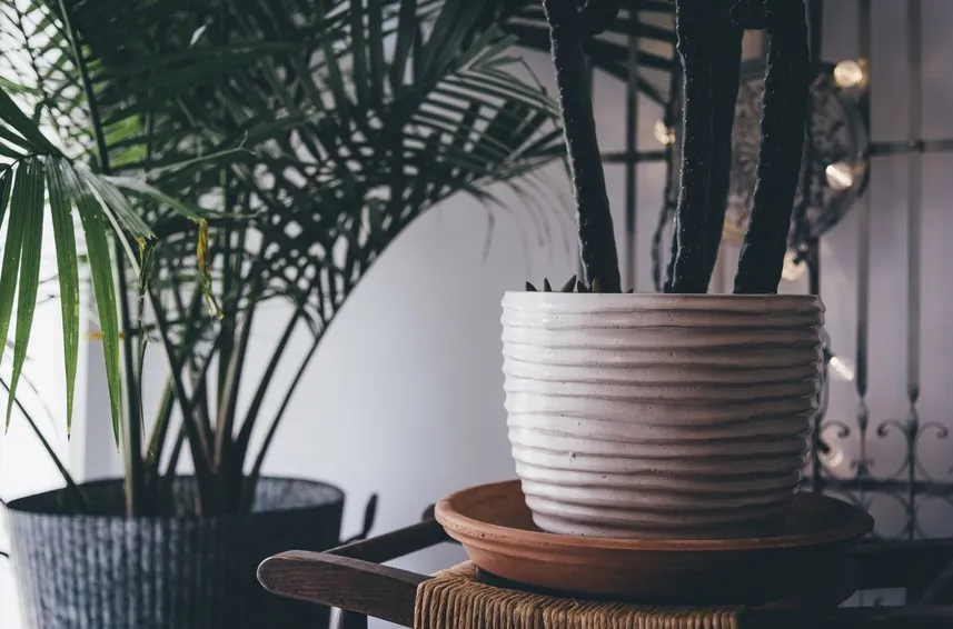 banner-image