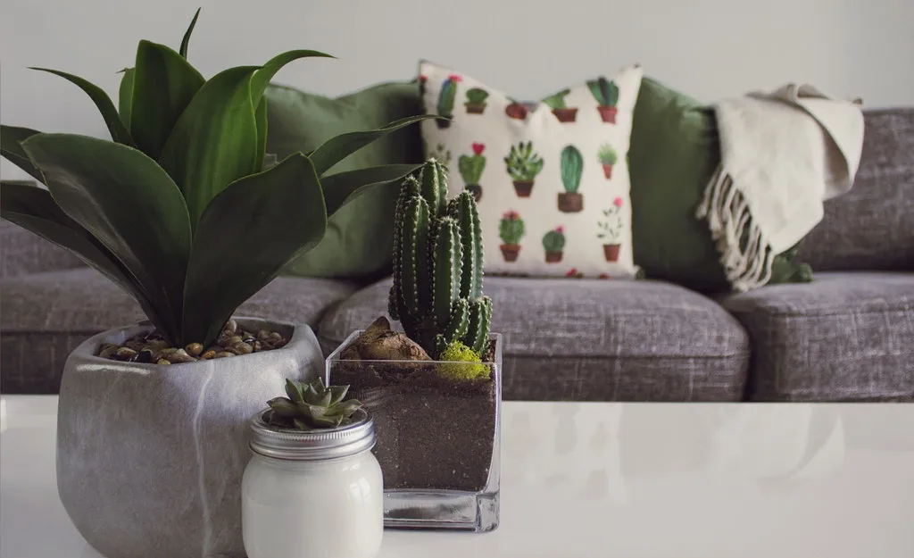 13 Tips To Turn Your Condo Into An Eco-Friendly Home