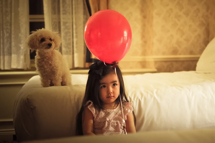 banner-image