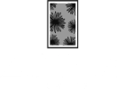 Zinnia Towers Logo