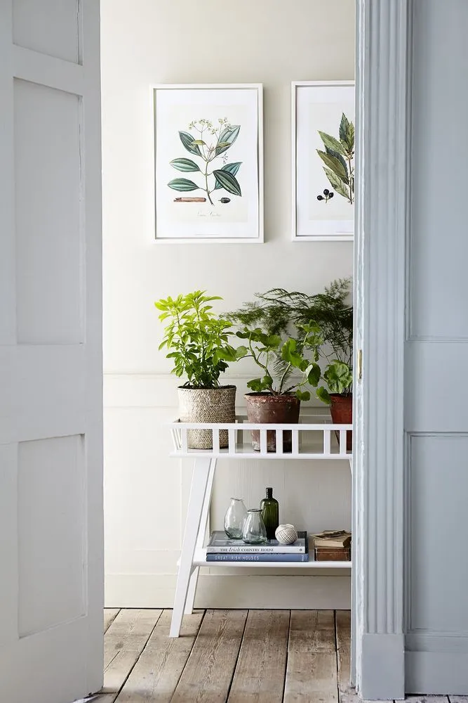Fresh and Fun Condo Entrance Design Ideas