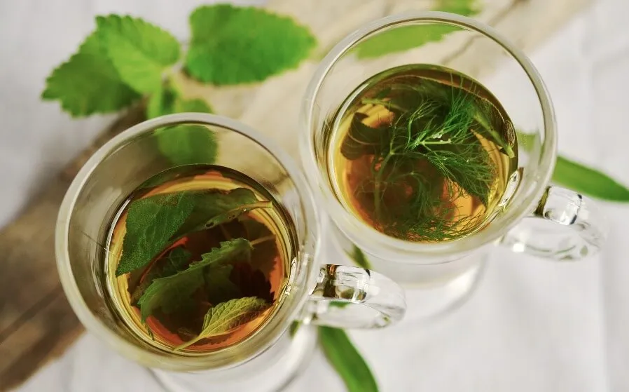 Go Green And Grow These 10 Plants for Your Condo Balcony