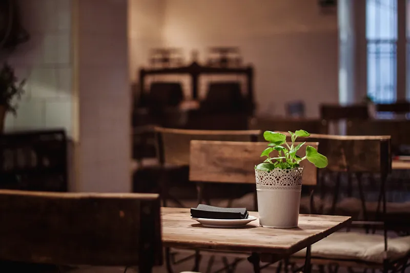 Choosing Condo Plants That’s Best For You