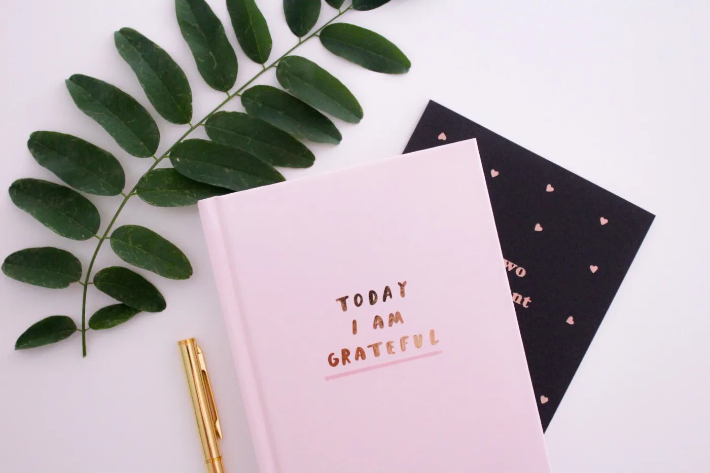banner-image