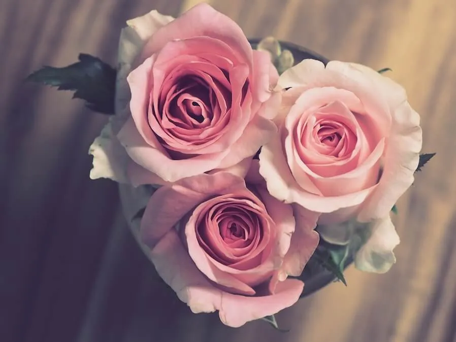 banner-image