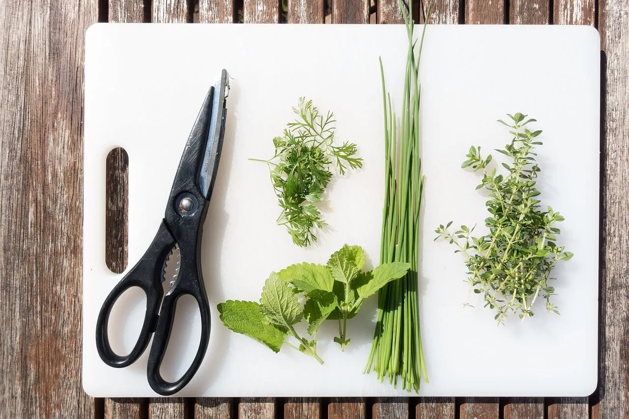 8 Kitchen Utensils for a Much Needed Kitchen Upgrade