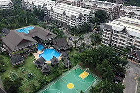 banner-image
