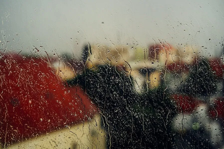 banner-image