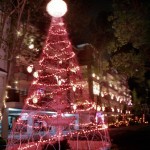 palm christmas tree
