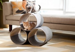 10 Condo Furnitures That’ll Make Your Pets Feel At Home
