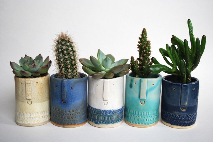 Coffee Mugs to Build Your Plant Collection
