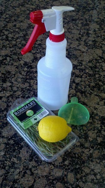 Lemon-Basil Air Freshener