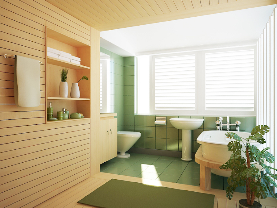Plant Setups Lush Greenery