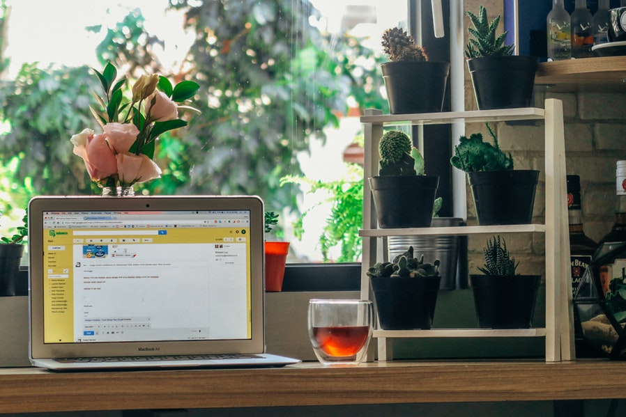 Succulent Plant Setups by the :Window