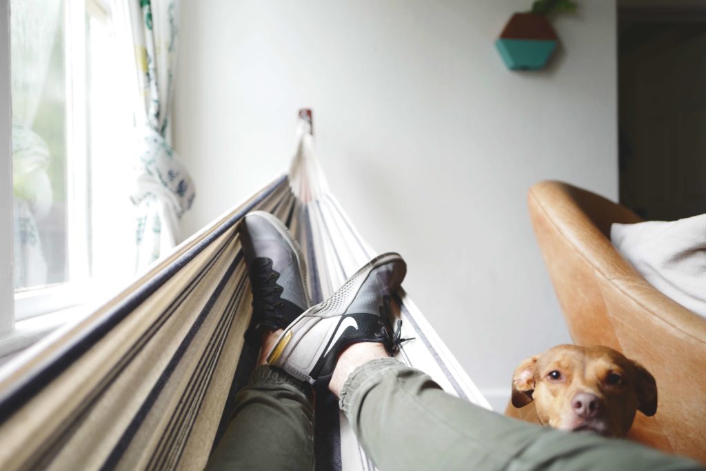 Person lying on a hammock next to their dog