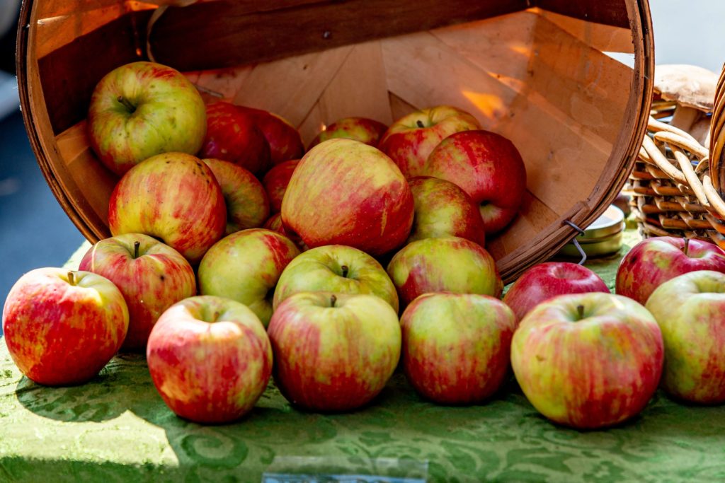 apple donuts