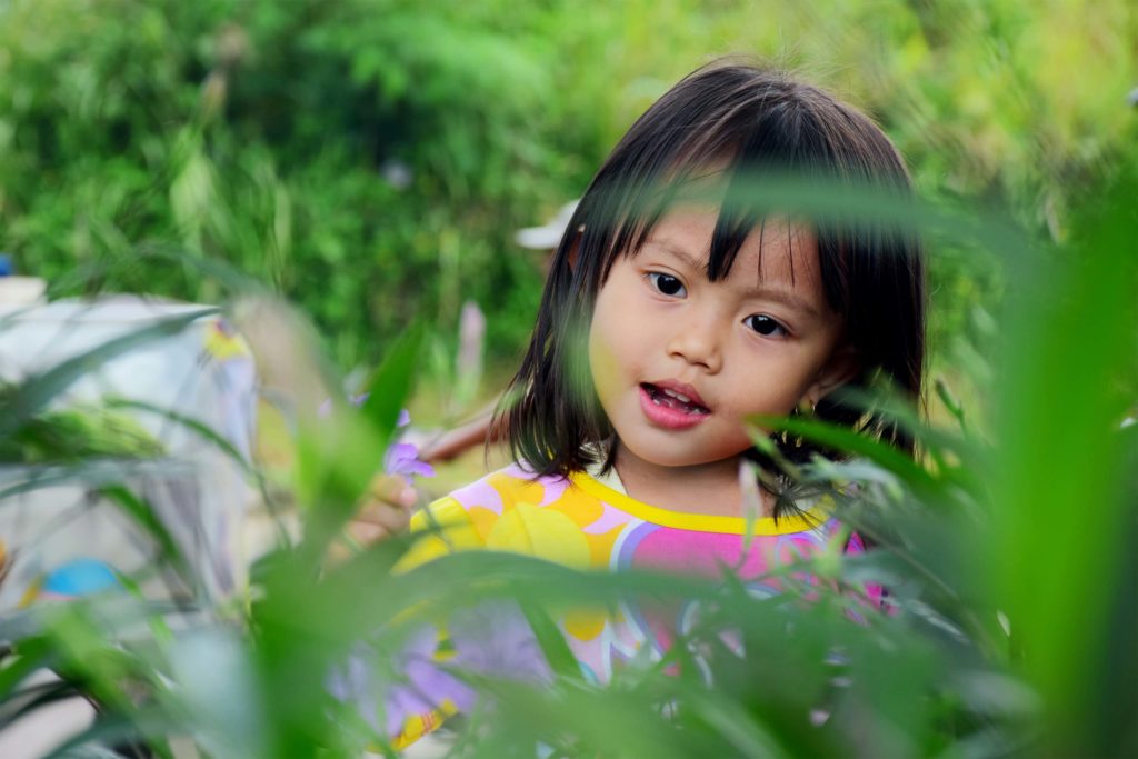 rainforest adventure experience