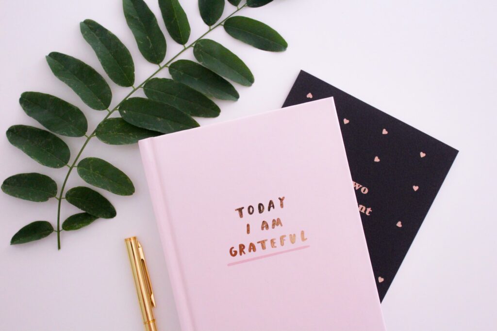 pink journal