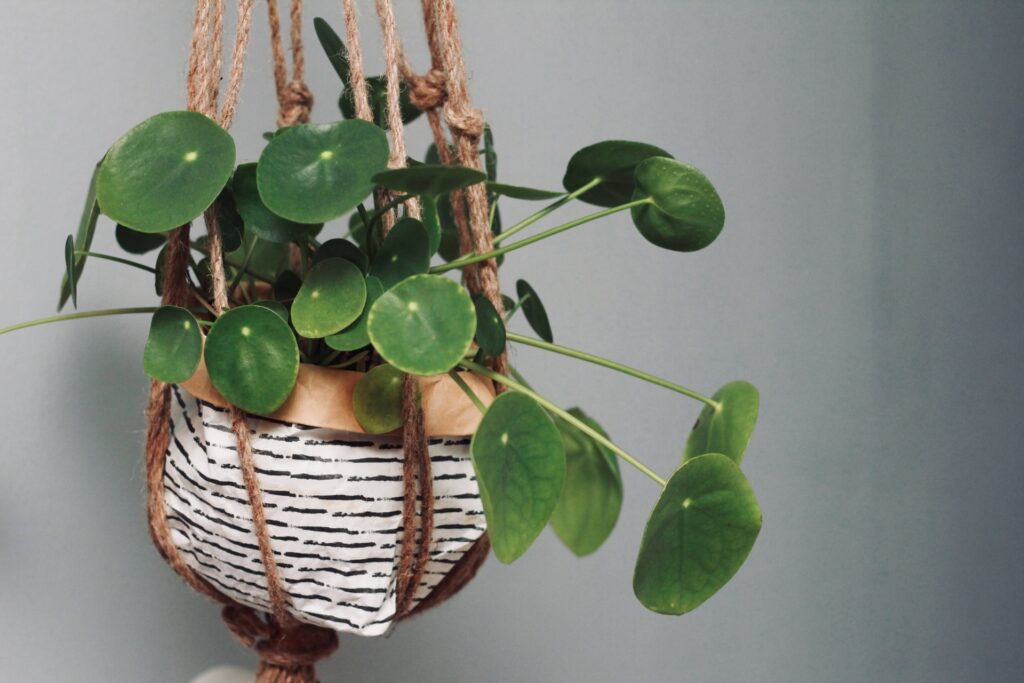wire hangers