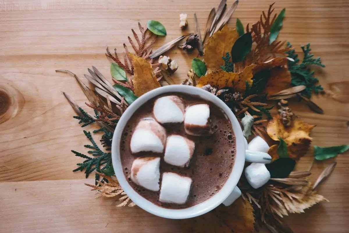 chocolate in mug