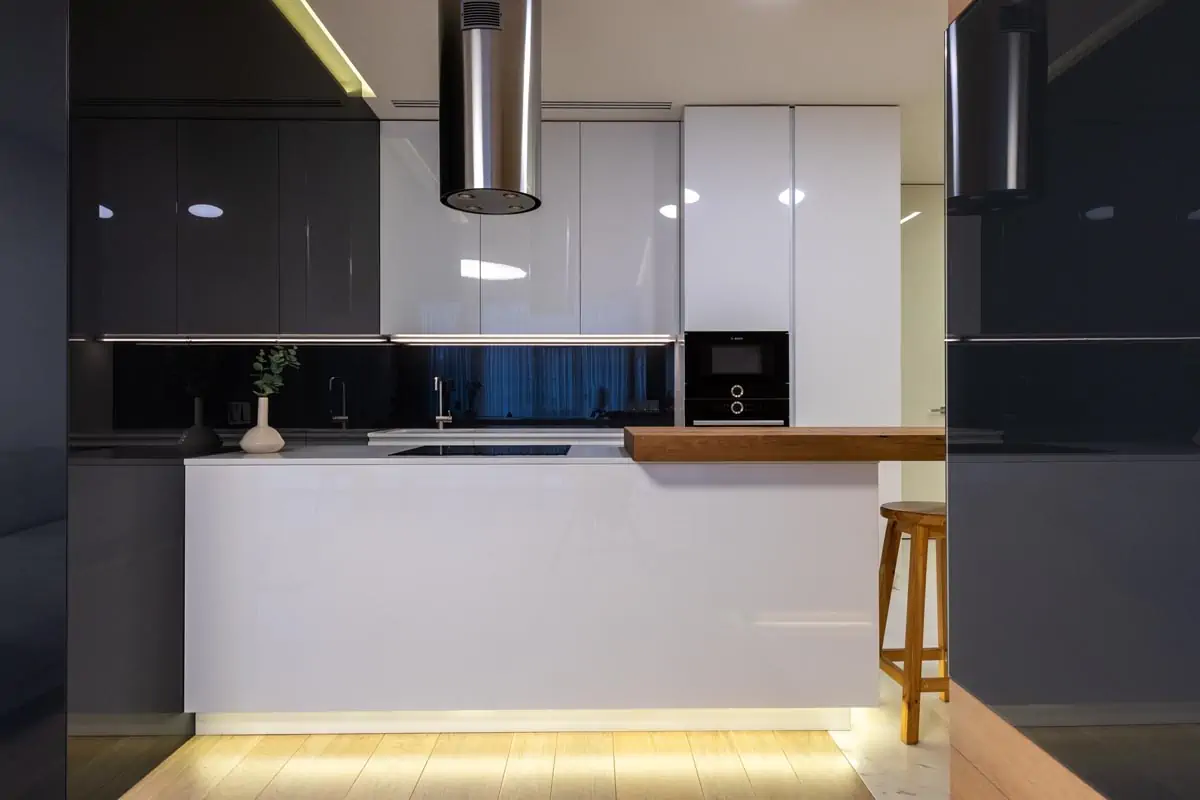 Contemporary kitchen with shiny stylish furniture
