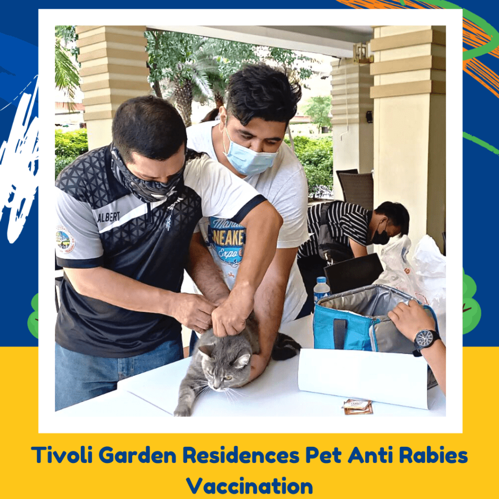 Pet Anti-Rabies Vaccination & Neutering And Spaying