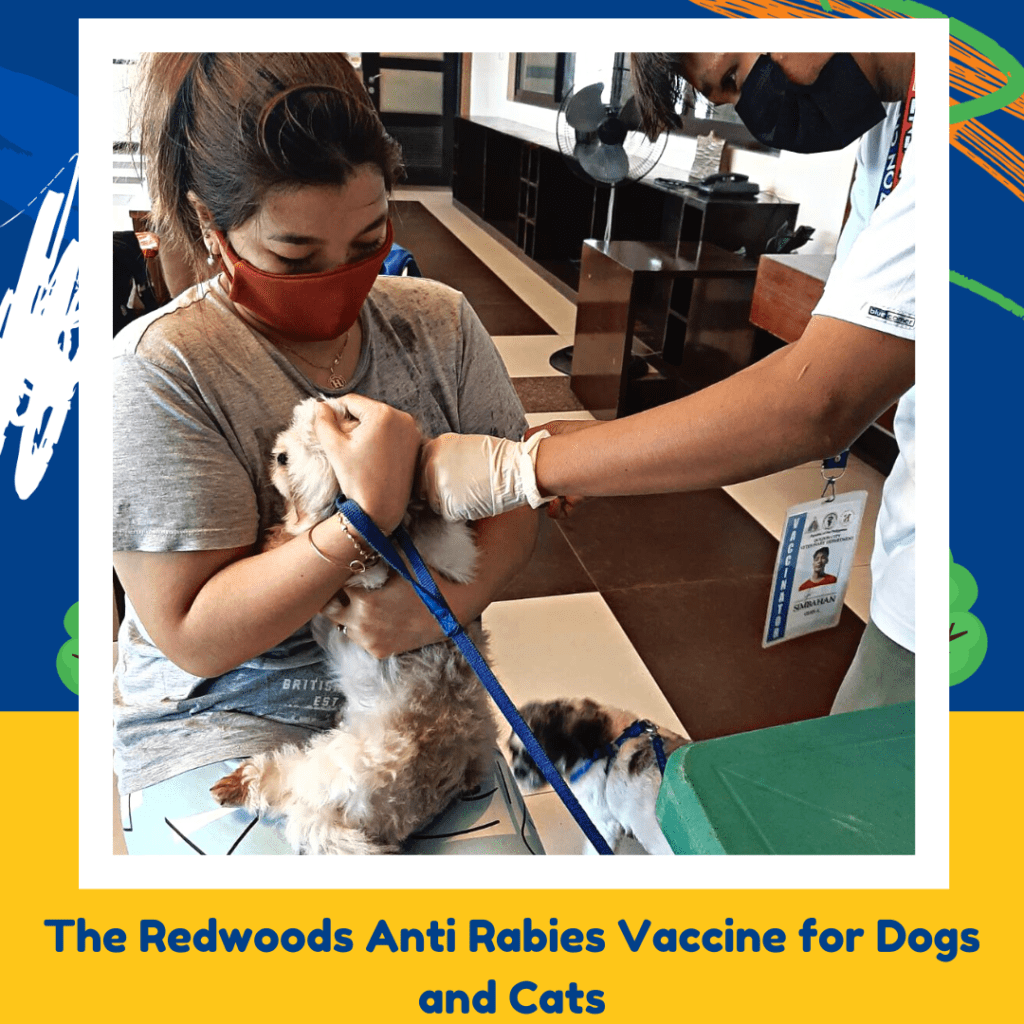 Pet Anti-Rabies Vaccination & Neutering And Spaying