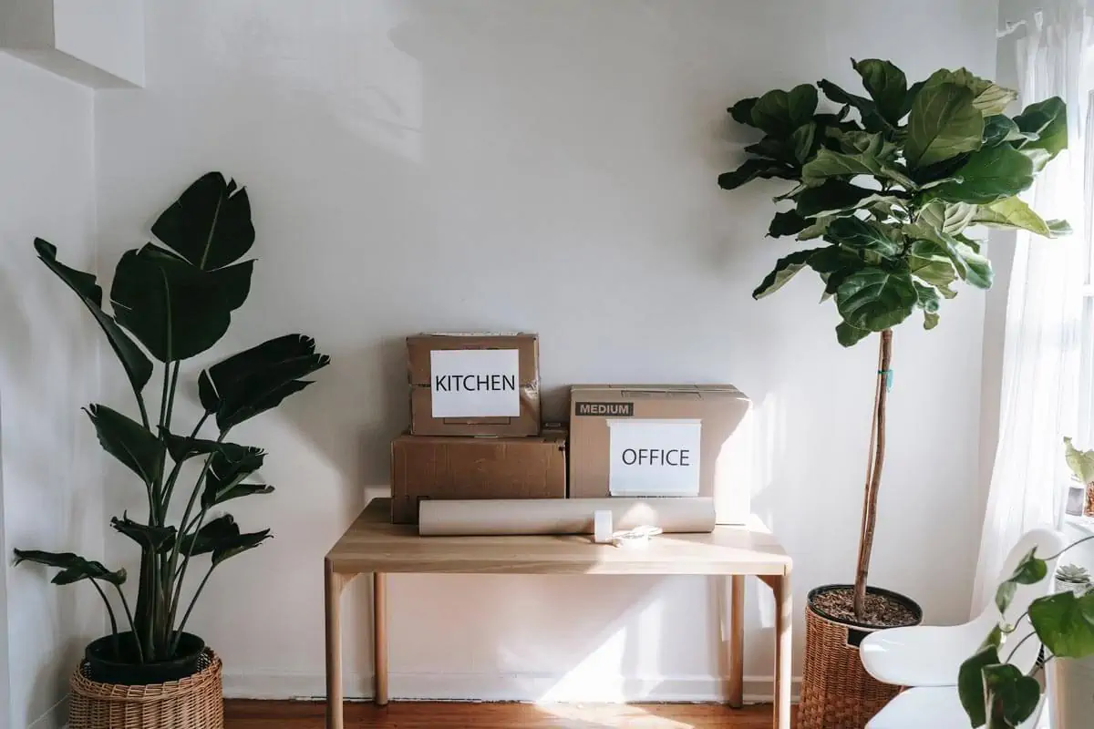 Brown Cardboard Boxes on Wooden Table