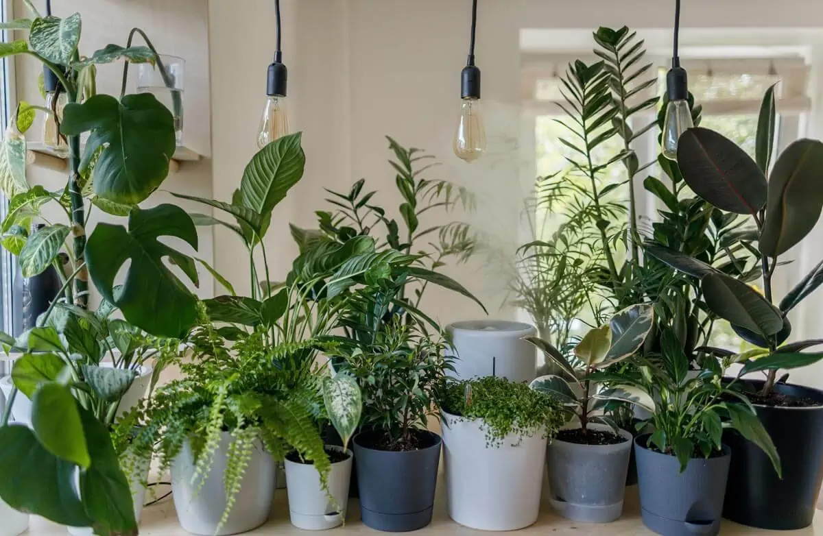 green plant in white ceramic pots