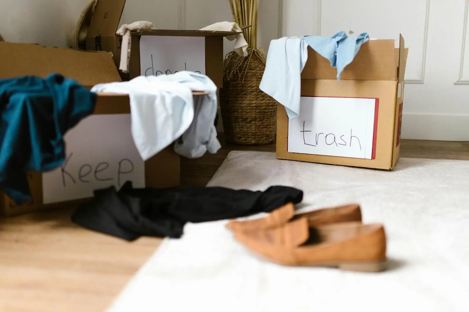 close up photo of carton boxes