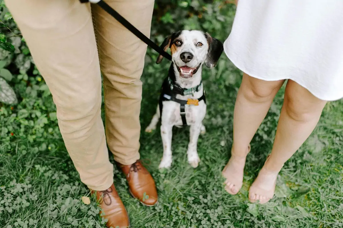 a couple with a dog