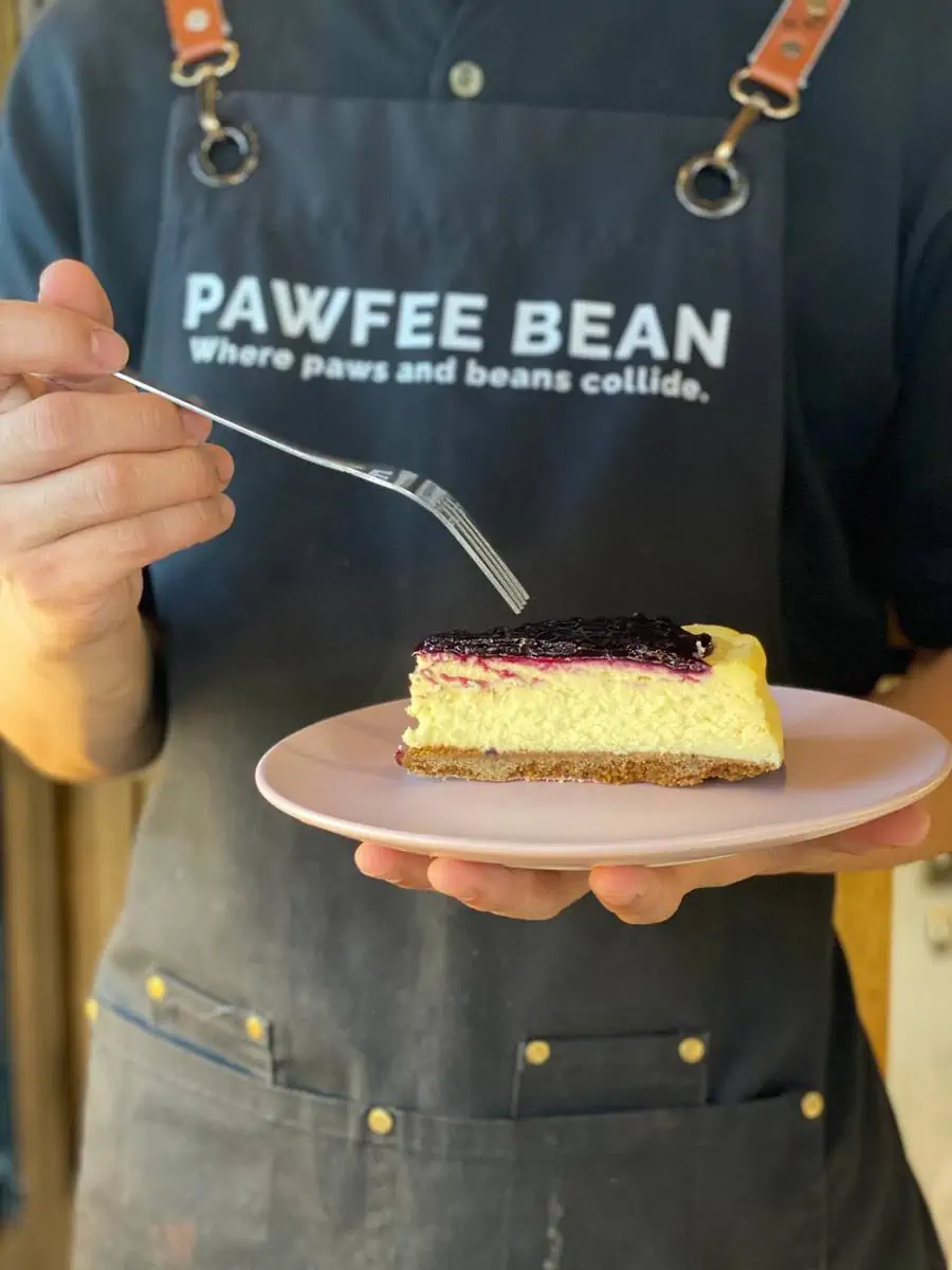 Pawfee Bean Cheesecake