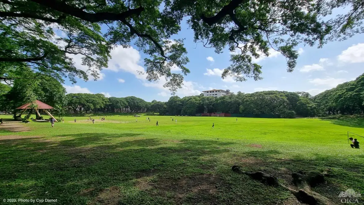 up sunken garden