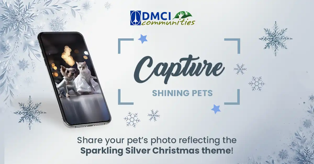 DCMI Communities Christmas Capture Shining Pets 2024